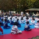 용인대KAT태권도 이미지