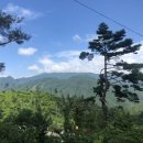 함양천자봉관광농원숲속애 이미지