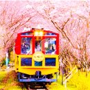 파란열차투어