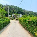 대전시 서구 매노동 전원주택 매매 이미지