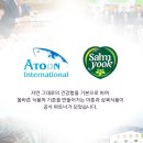 아툰인터내셔널
