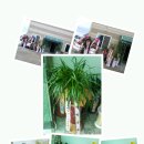 남대실오리촌 이미지