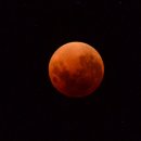 블러드문 이미지