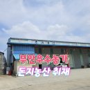 창북농장 네이버블로그
