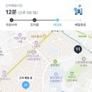 연세MY바른이치과의원 | 250917 피부과, 치과, 눈썹