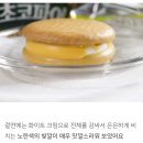 야 뭐야 바나나초코파이 ㅈㄴ마싯어 이미지