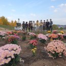 상평동행정복지센터 이미지