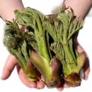 원순농장 이미지