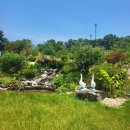 새열린목장 이미지