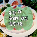 백목 | 부산 흑돼지 맛집 이렇게 맛있어도 되나? 백목가든 솔직 후기