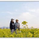 대저생태공원 이미지