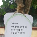 서대전속편한내과의원 이미지