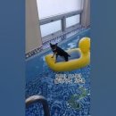 더리조트멍 이미지