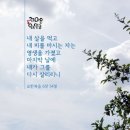 이적과 기사 VS 기적을 베푼 예수님과 안상홍님//하나님의교회 이미지