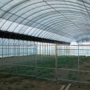 섬진농장 이미지