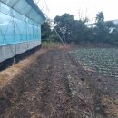 액비골(2) 이미지