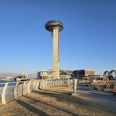 망 조 대 이미지