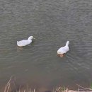 운암지수변공원 이미지