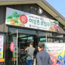 법인이상촌