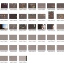 라이카 바르낙 일상 필름 스냅 및 사용 후기(feat, iiif&amp;코닥 울트라 맥스400&amp;우성상사&amp;수원 출사)