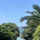 동광리-1 | [D+177] 5개월 아기랑 제주여행, 동광리 수국 , 길모퉁이 가게