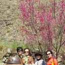 선비뜨락 이미지