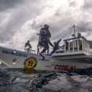 민트스쿠버 이미지