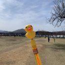 경주 벚꽃 여행 | 2박 3일 맛집, 여행, 숙소 추천bb (경주 벚꽃 개화)