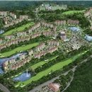 라온코스메디컬 이미지