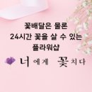 꽃치다플라워