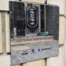 산수싸리 이미지