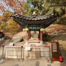 청와대 관람 및 탐방 : 서울 가볼만한곳 리스트