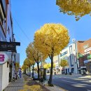 도토리공인중개사사무소 이미지