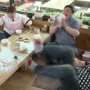 유명해물찜최고집칼국수 이미지