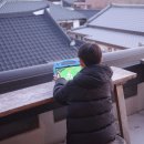 교동 연꽃마을 펜션 | 26년 전주여행(돼지꿈한옥펜션,전주난장,전주초코파이체험,자만동벽화마을)