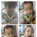 리얼야구존쌍사점 이미지