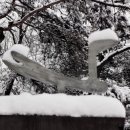 강서구민회관 이미지