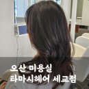 타마시헤어세교점