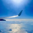 미주식품 | 대한항공 스카이샵 온라인 면세점 블랙플라이데이 후기와 구매팁