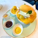 망고펭귄 | [서울빙수맛집]3만원대에 먹을 수 있는 호텔빙수!! 르메르디앙호텔 망고빙수 솔직 후기!주차 및 예약방법