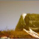 송정2리 이미지