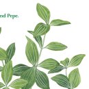 Almond pepe(아몬드 페페)