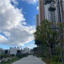 광안자이부동산중개사무소 | 광안동아파트 선택 기준을 바꾸는 광안자이의 특별한 매력 이야기