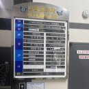 마요래쉬