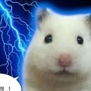 봉산수상레져파크