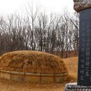 정발장군묘 이미지