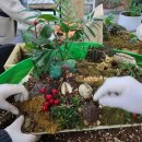 시니어마트 이미지