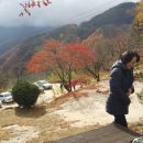 데미골 Daum카페