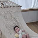 펄베이풀빌라 이미지