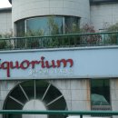 세계술문화박물관 이미지